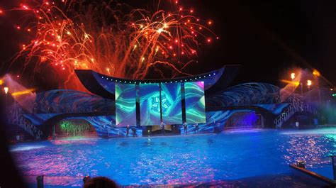 SeaWorld Orlando Summer Nights 2014: New shows and experiences keep the energy up after dark