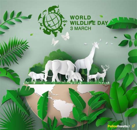 National Wildlife Day Theme 2021 - Wildlife Aestetic 2021