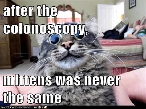 colonoscopy memes funny - Zollatry