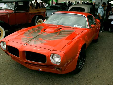 1970 firebird Best Muscle Cars, American Muscle Cars, Pontiac Cars, Chevrolet Camaro, My Dream ...