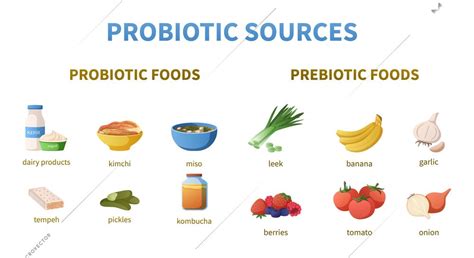 Probiotics infographics cartoon set with isolated icons of prebiotic ...