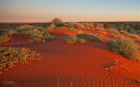 Red dunes, Simpson Desert - Australian Geographic