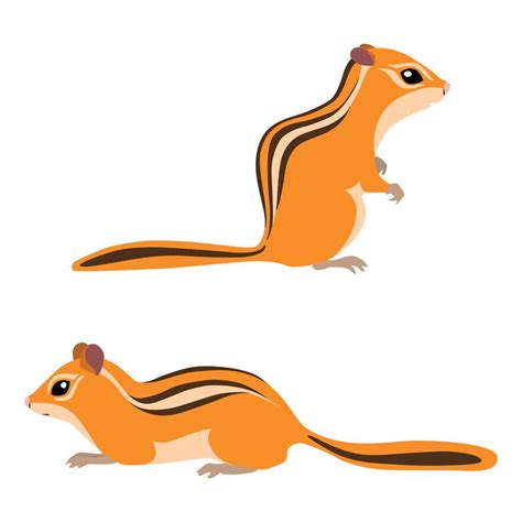 Chipmunks | Chipmunks, Animal clipart, Whale illustration