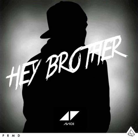 WATCH: Avicii Releases Lyric Video for 'Hey Brother,' Featuring Dan Tyminski