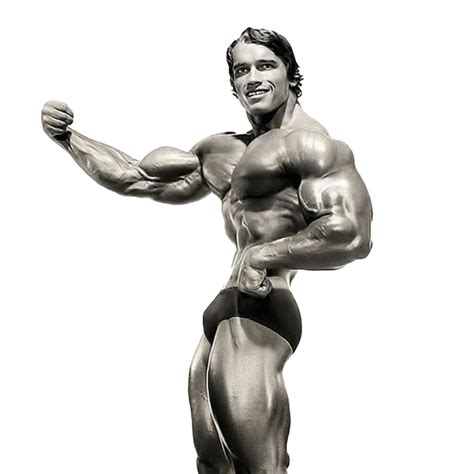 Schwarzenegger Arnold Free Clipart HD Transparent HQ PNG Download ...