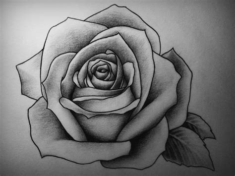 Pin by Timea Slavic on Designs for Dresser Top | Rose drawing tattoo, Roses drawing, Flower drawing