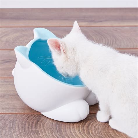 ViviPet Ceramic Big Head Elevated Cat Water Bowl, Arctic - Chewy.com