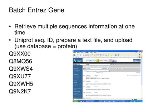 PPT - Genome Sequences PowerPoint Presentation, free download - ID:4637599