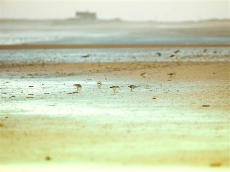 Brancaster Staithe: A Hidden Gem in North Norfolk | Written by a Local