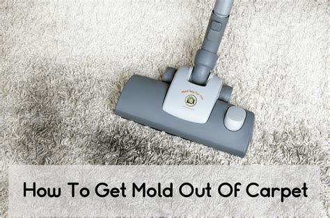 Carpet Mold Cleaner - Carpet Vidalondon