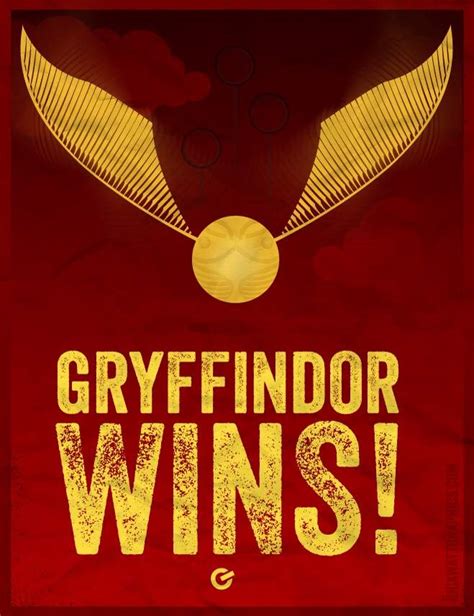 Meet the Gryffindor Quidditch Team | Harry Potter Amino