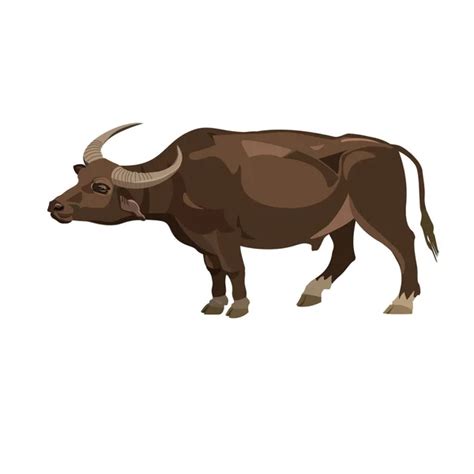 Carabao Stock Vectors, Royalty Free Carabao Illustrations | Depositphotos®