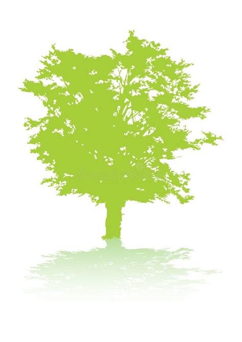 Tree with shadow stock vector. Illustration of fresh, design - 1967290