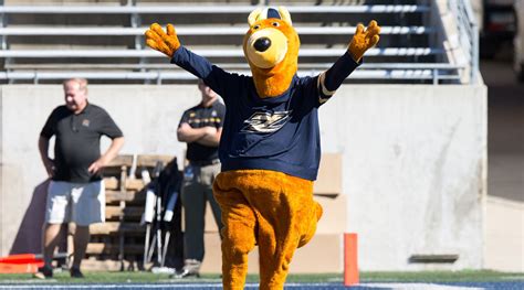 University of Akron mascot costumes missing, police investigating ...