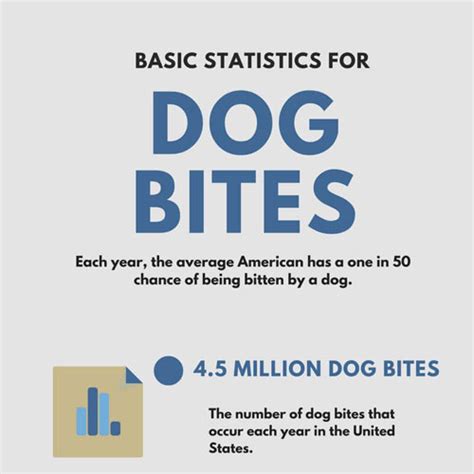 Infographic: Dog Bite Statistics - InfographicBee.com