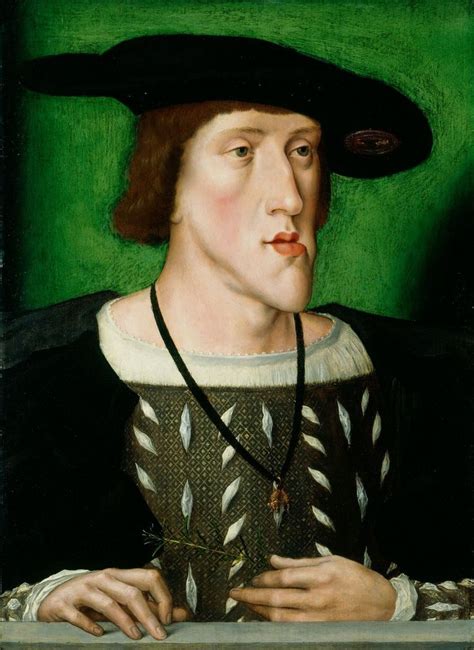 Emperor Charles V (1500-58) | Portrait, Renaissance portraits, Roman ...