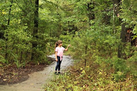 Young Girl Enjoying Nature Walk Free Stock Photo - Public Domain Pictures