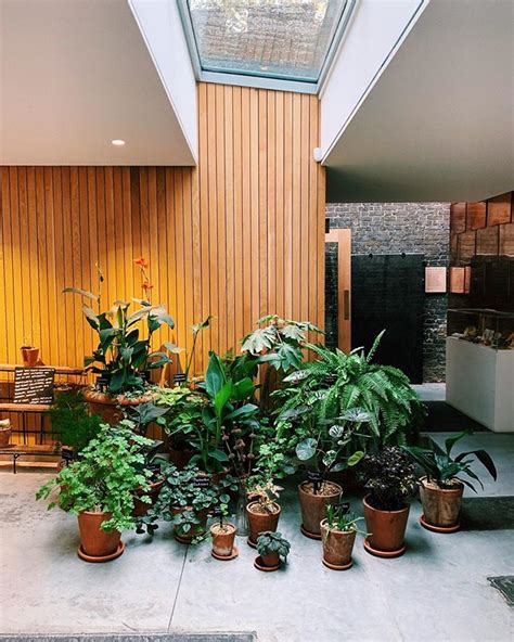 Garden Museum London: Green-Fingered Oasis Inside An Old Church