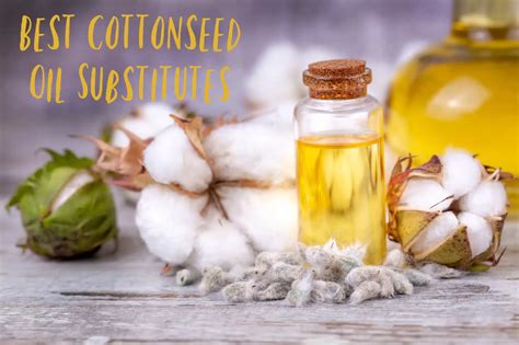 The 5 Best Cottonseed Oil Substitutes for Any Situation - The Coconut Mama