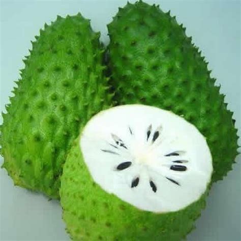 Khasiat Buah Durian Belanda Yang Kita Tak Pernah Ambil Tahu ~ Stress Gilerr