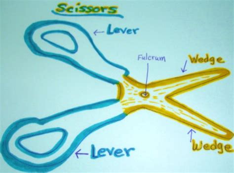 Learning Ideas - Grades K-8: Complex/Compound Machines