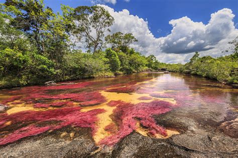 Cano Cristales (River of five colors), La Macarena, Meta, Colombia | Gearminded