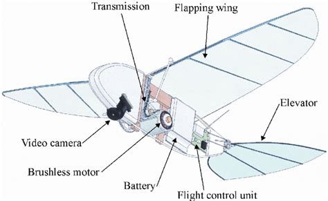 1: SolidWorks TM rendering of a typical ornithopter design. | Download ...