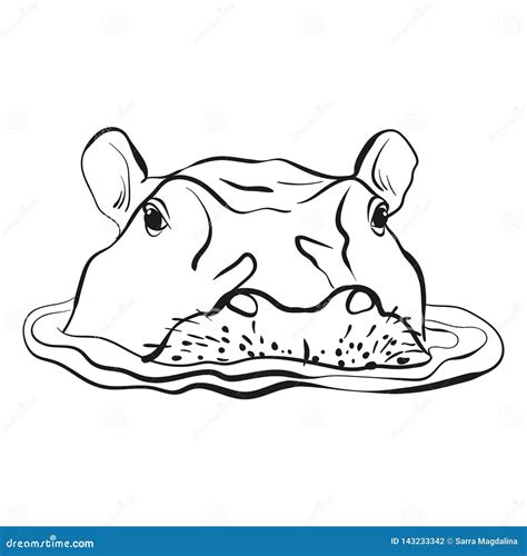 Hand Drawn Sketch Portrait of Cute Hippo in the Water. Vector Illustration Isolated on White ...