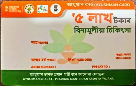 Multicolor Thermal Printing Pre Printed Ayushman Bharat Card, Size: 86x54mm at Rs 6.15 in Guwahati