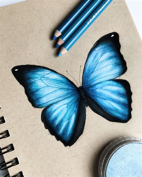 Easy Aesthetic Easy Blue Butterfly Drawing | Images and Photos finder