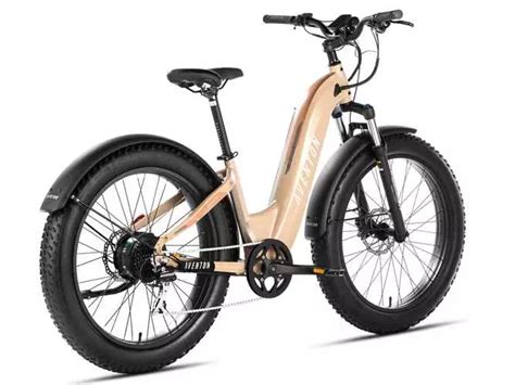 Best Electric Bikes for Seniors