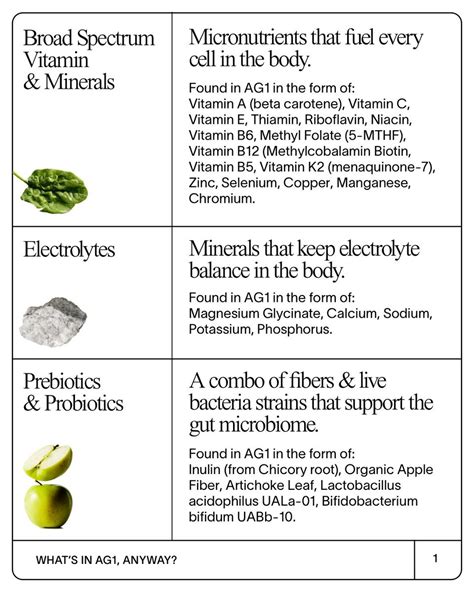 Drink AG1 on Twitter: "Let’s get science-y: By now you know there’s a ...