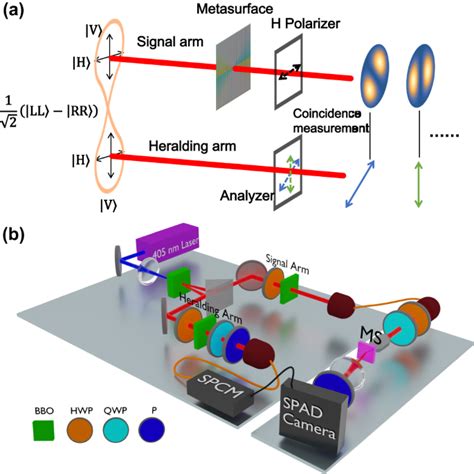 Continuous heralding control of vortex beams using quantum metasurface ...