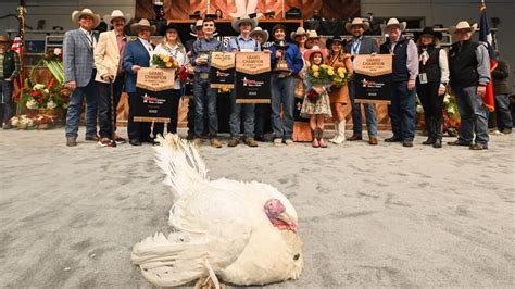 Houston Rodeo: Records broken at Junior Market Poultry Auction | khou.com