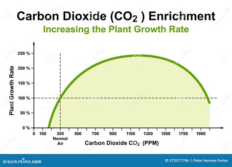 Carbon Dioxide (CO2) Enrichment, Effect On The Plant Growth Rate Vector Illustration ...