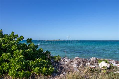 Ocean View from Grand Bahama Island Stock Photo - Image of bahama ...