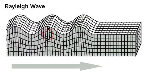 5 Surface Waves Examples in Real Life – StudiousGuy