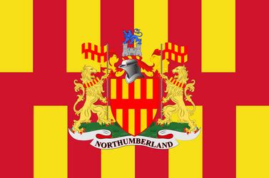 Flag of northumberland in england Royalty Free Vector Image