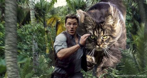 Jurassic Kittens | World cat, Cats, Jurassic park