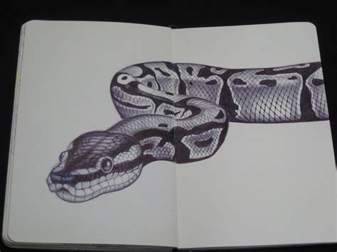 Snake Sketchbook drawing by Tim Jeffs https://www.etsy.com/shop/TimJeffsArt | Snake drawing ...