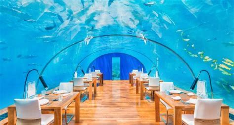 Ithaa Undersea Restaurant | Conrad Maldives Rangali Island Dining