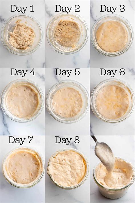 How to Make A Sourdough Starter - Dirt and Dough