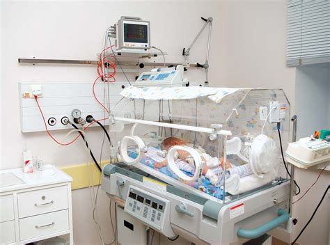 Incubator | Temperature Control, Humidity Regulation & Safety | Britannica