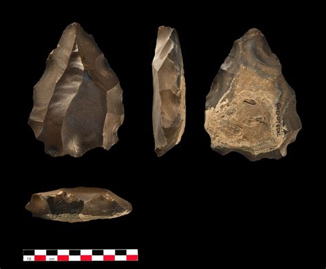 Tool evolution sheds new light at Homo Sapiens in Arabia