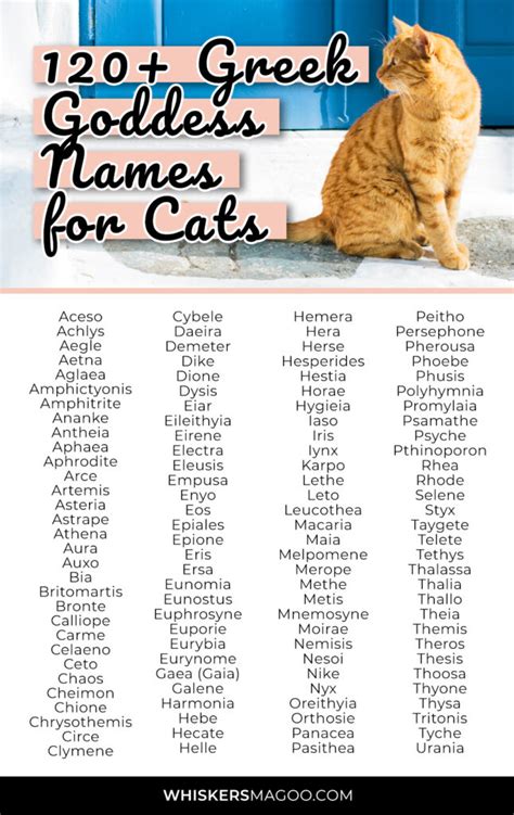 120+ Greek Goddess Names for Cats - Whiskers Magoo