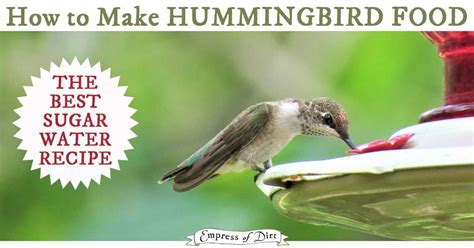 It's important to get the recipe just right to match the natural diet of hummingbirds. This is ...