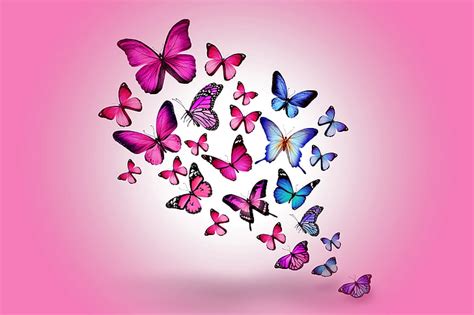 HD wallpaper: assorted-color butterfly wallpaper, drawing, flying ...