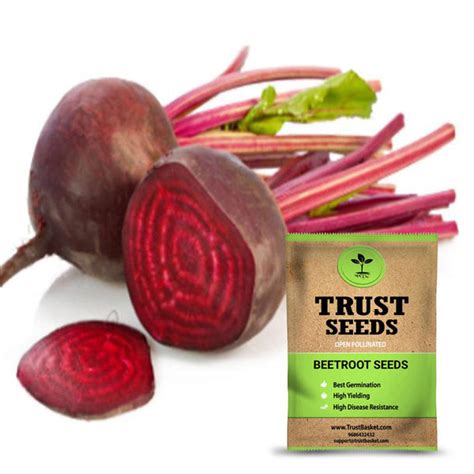 home & garden > plants > seeds – TrustBasket