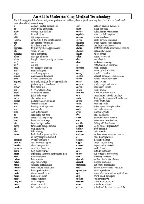 Medical Terminology - Prefixes and suffixes to understand anatomy - An ...