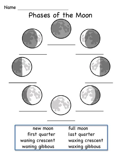 Phases of The Moon | PDF | Science worksheets, Moon phases, Moon science